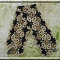 Spanish lace