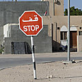 P1210124