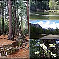 Merced River - Yosemite