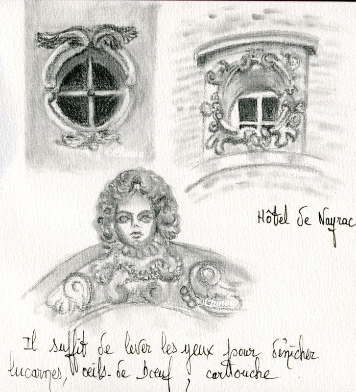 98 Castres Lucarnes