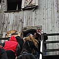 IMGP5264