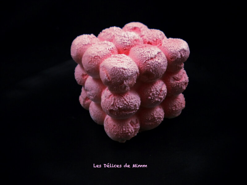 Entemets Bulles d'expoir pour Octobre Rose 4