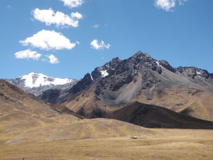 P9085909