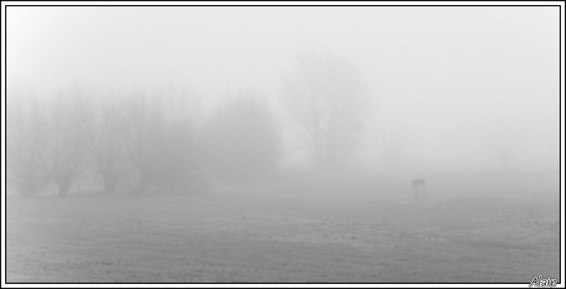 ambiance brouillard