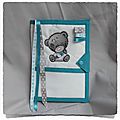 Pritége carnet de santé à broder TEDDY BEAR