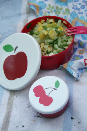 PN_salade