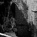 DSC07703