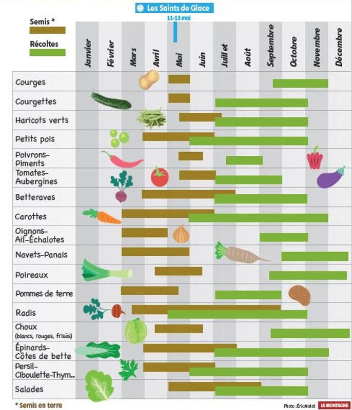 Calendrier plantations et récoltes - Le Jardin De CJ