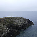 P1080817 (100)