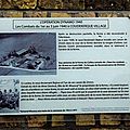 IMGP0726