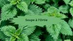 1 ortie Soupe à l'ortie