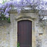 La_glycine9
