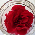 Composition de parfums d'été (8) : enfleurage de roses rouges