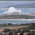 DSC07579_001
