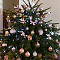 sapin rose6