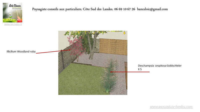 Paysagiste-Saint-Martin-de-Seignanx-Paysagiste-Landes-avril-2022-76