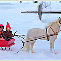 IMG_4491-1