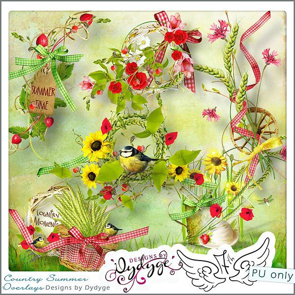 preview_countrysummer_overlays_dydyge