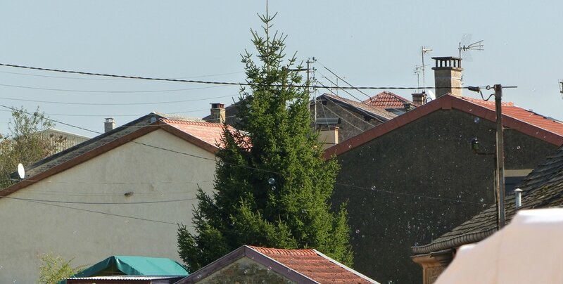 P1050385