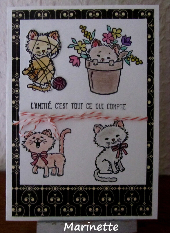 modele choisi sur un blog