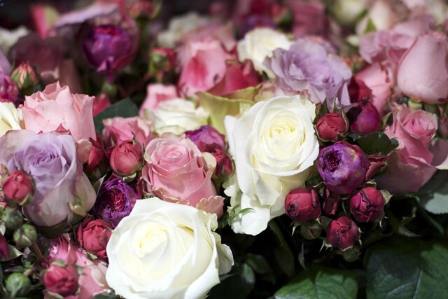roses-by-claire-boutique-christiancollin-4
