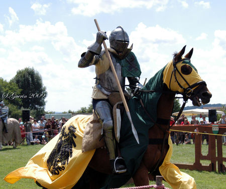 chevalier2_sguerin2009