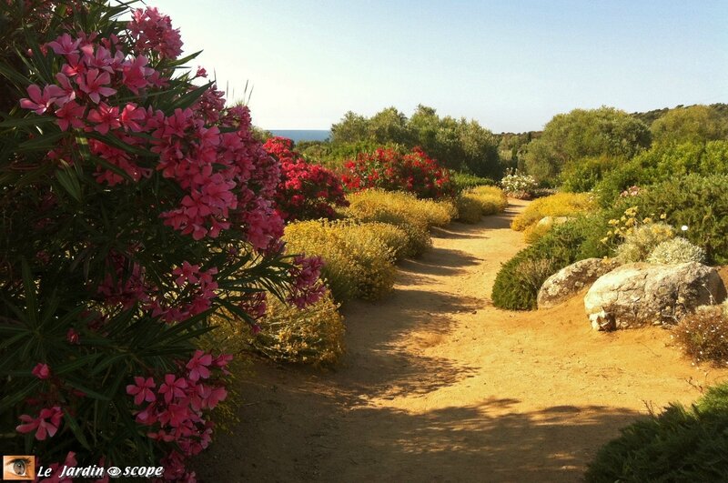 Parc botanique de Saleccia 