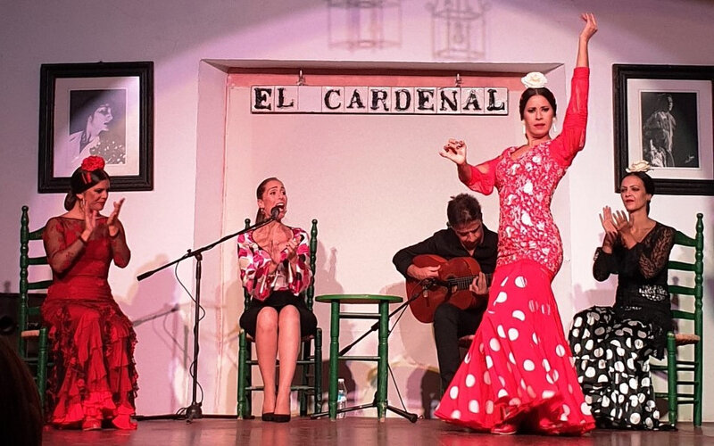 flamenco3