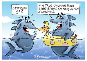 requin bouée
