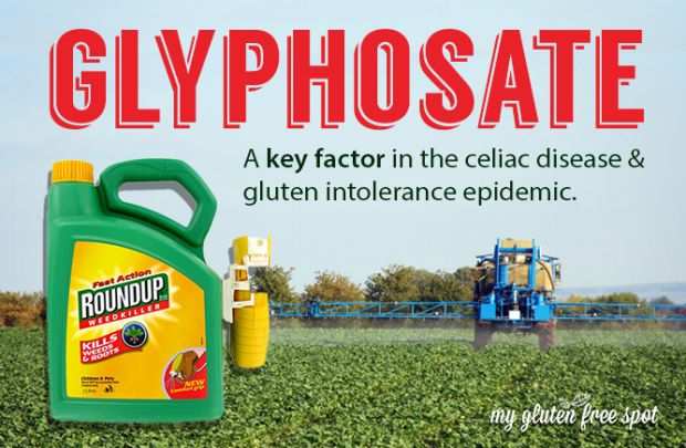 glyphosate-620x405