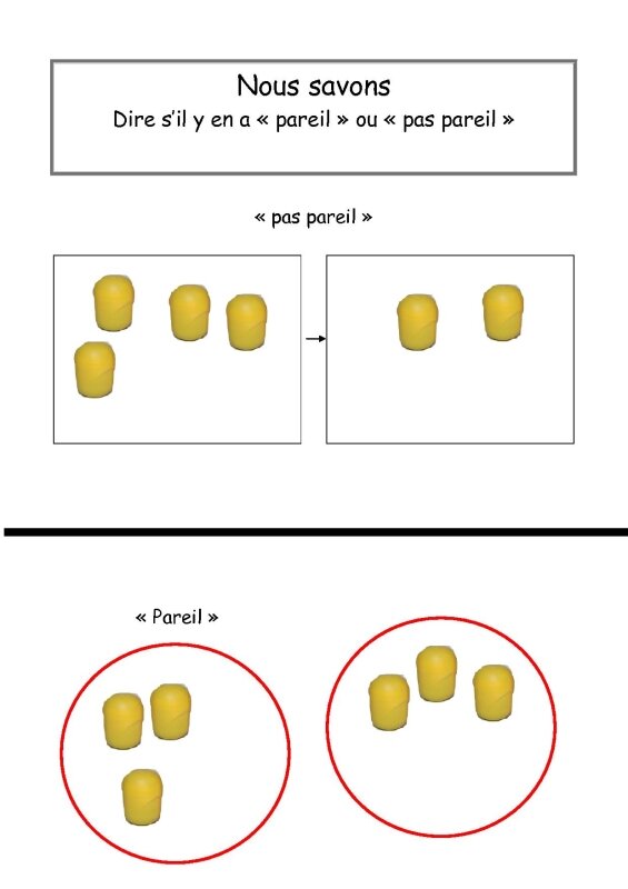 Nous savons dire pareil pas pareil - Photo de Classeur de savoirs ...