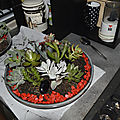 _DSC0414