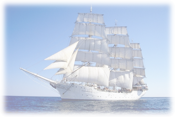 bateau 41