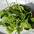 Salade de pourpier d'hiver - clayton de cuba - au curcuma et graines de courge