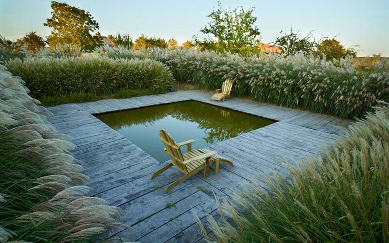 Jardin-3_2656311k