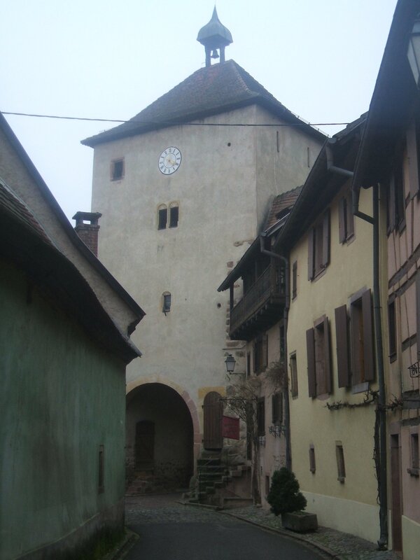 DSCF3680