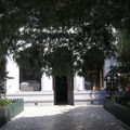 P8050036