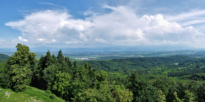 a2018_06_03_153935_llt_Vue_depuis_Neulindenturm_vers_Fribourg