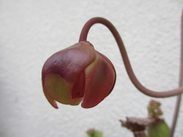 0 0