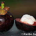 Baby cheesecake au mangoustan et coulis de fruits rouges