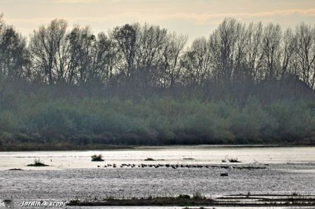 Loire