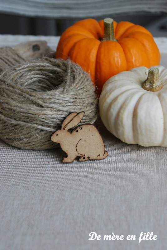 lapin couché