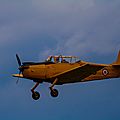 IMG_4664