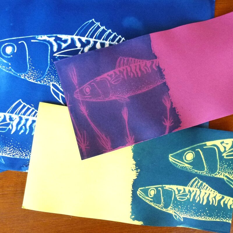 cyanotype poisson 3