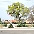 Soustons, rond-point (40)