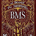 Limbus patrum (la brigade du surnaturel #1) de floriane impala