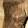 IMG_9242