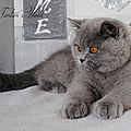 _DSC0703