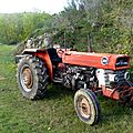 tracteur Massey Ferguson 165