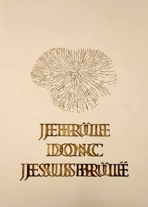 je-brule-william_acin-w